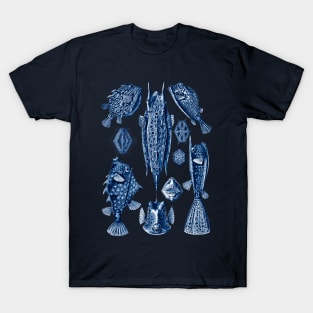 Ernst Haeckel Ostraciontes Navy Blue T-Shirt